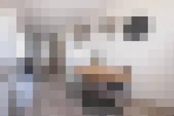 Hammerfeststraat 48 Rotterdam thumbnail 13