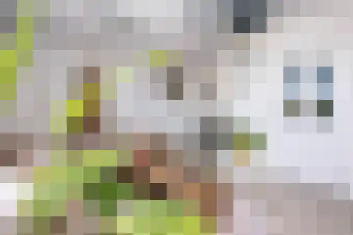Hammerfeststraat 48 Rotterdam thumbnail 6