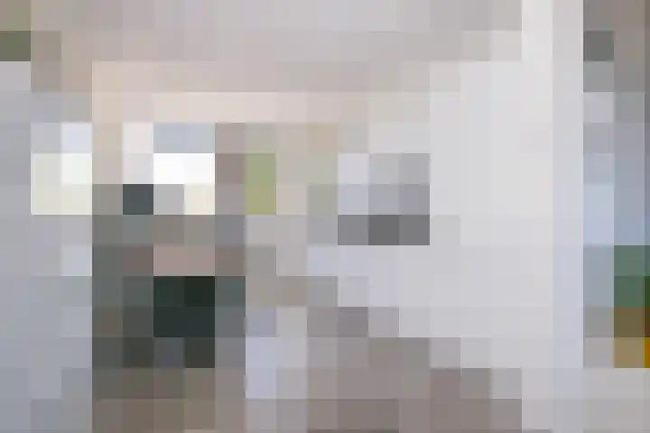 Hammerfeststraat 48 Rotterdam thumbnail 9