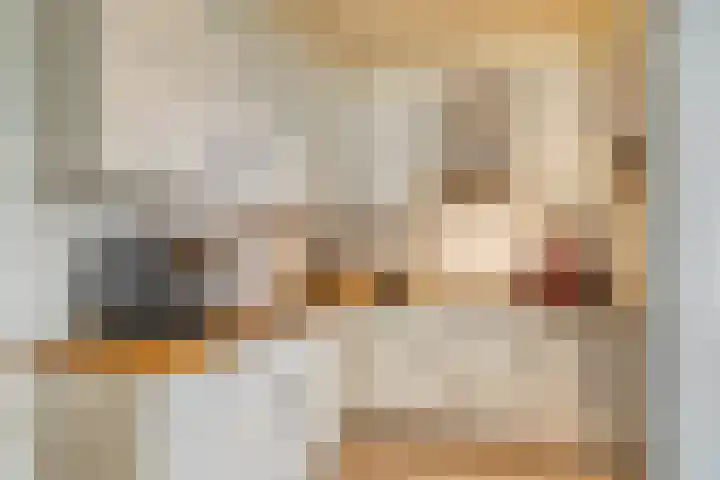 Hammerfeststraat 68 Rotterdam thumbnail 9