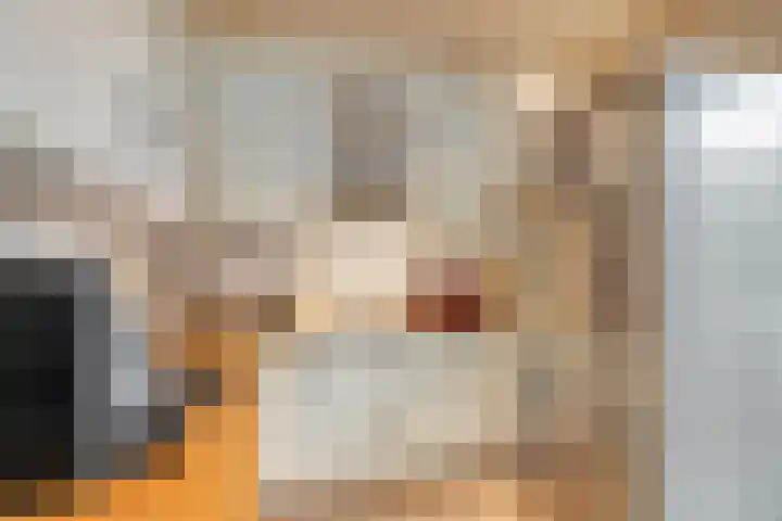 Hammerfeststraat 68 Rotterdam thumbnail 10