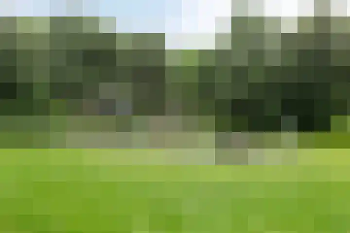 Hammerfeststraat 68 Rotterdam thumbnail 31