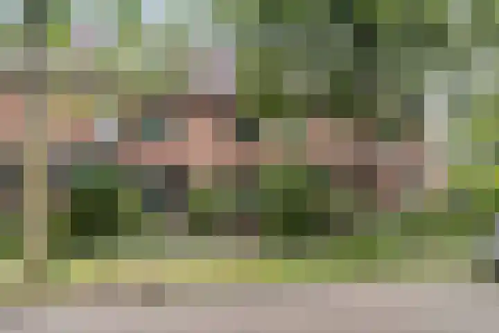 Hammerfeststraat 68 Rotterdam thumbnail 32