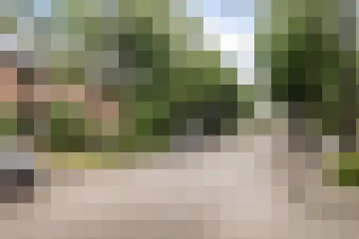 Hammerfeststraat 68 Rotterdam thumbnail 33