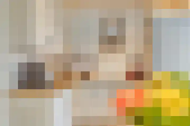 Hammerfeststraat 68 Rotterdam thumbnail 7