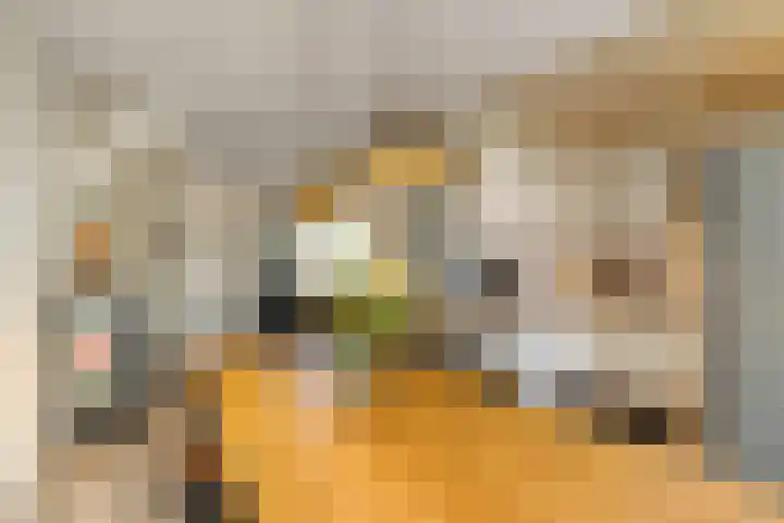 Hammerfeststraat 68 Rotterdam thumbnail 8