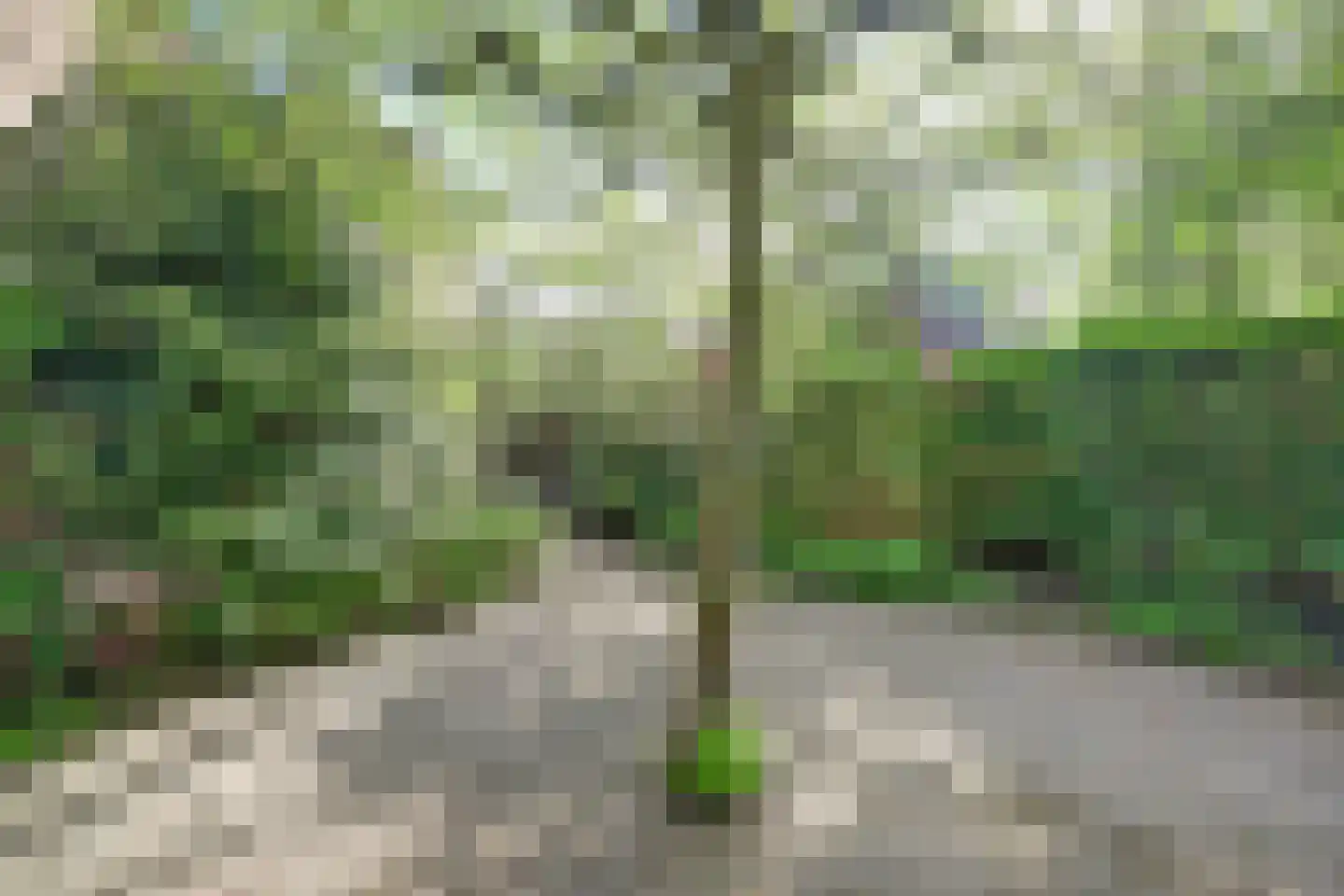 Hammerfeststraat 70 Rotterdam thumbnail 39