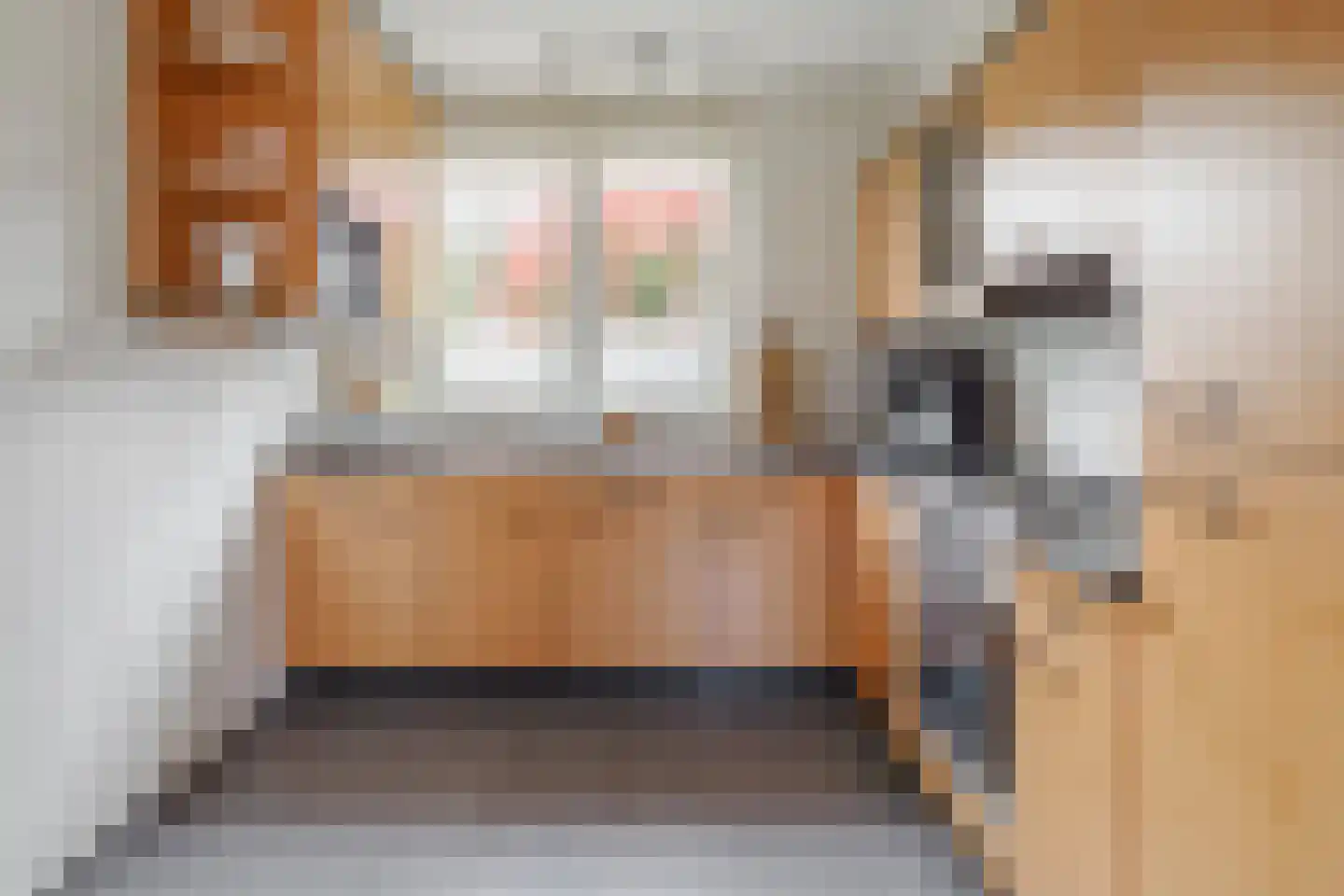 Hammerfeststraat 9 Hengelo thumbnail 12