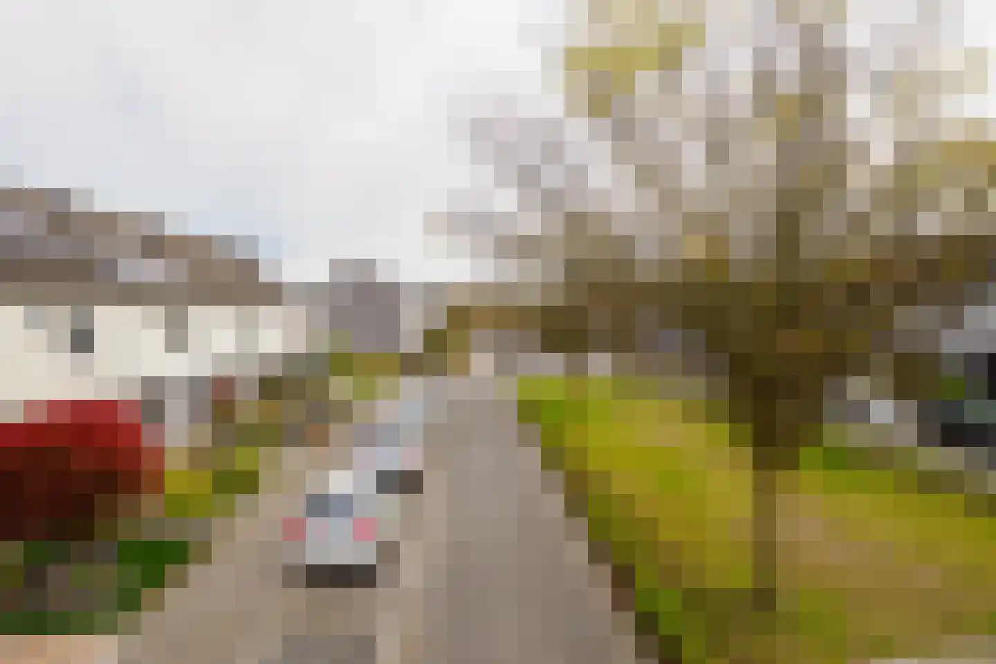 Hammerfeststraat 9 Hengelo thumbnail 33