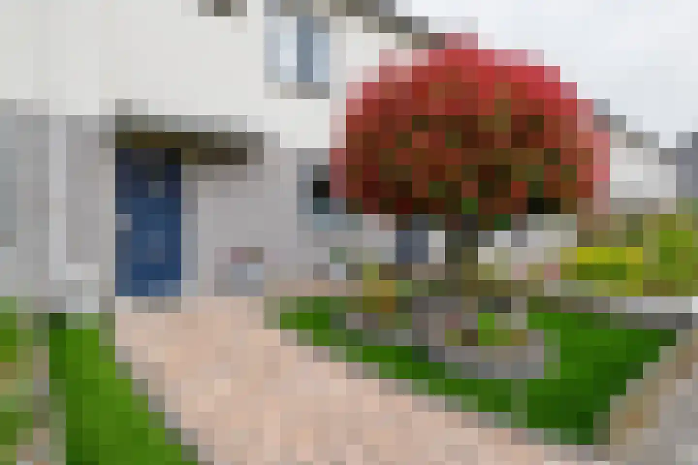 Hammerfeststraat 9 Hengelo thumbnail 36