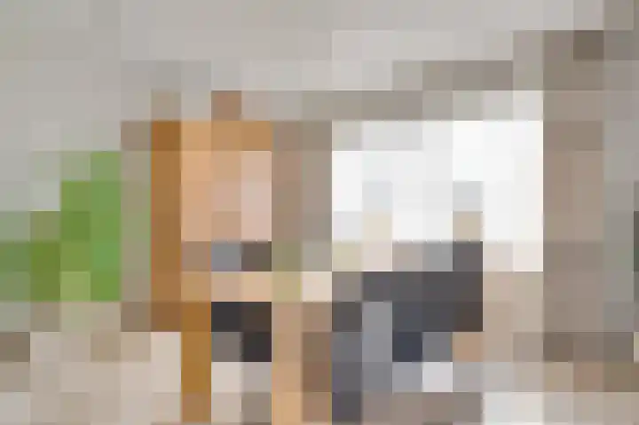 Hammermolen 20 Neer thumbnail 12