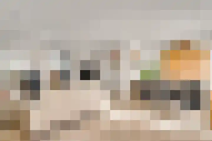 Hammermolen 20 Neer thumbnail 15