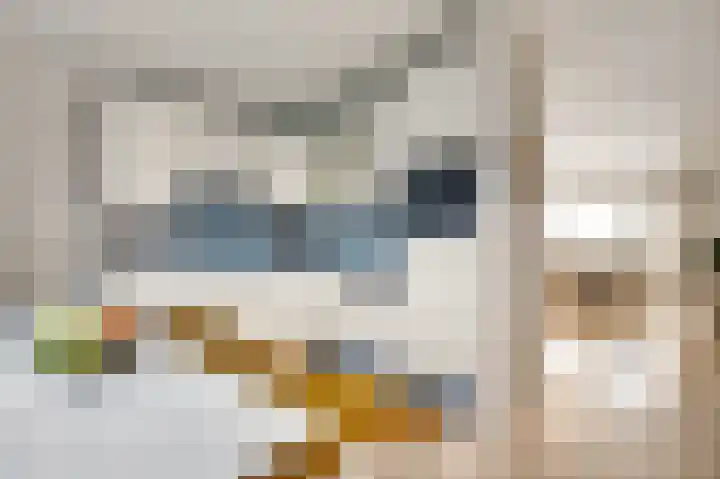 Hammermolen 20 Neer thumbnail 17