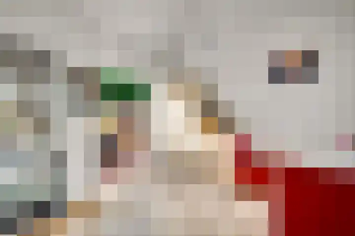 Hammermolen 20 Neer thumbnail 21
