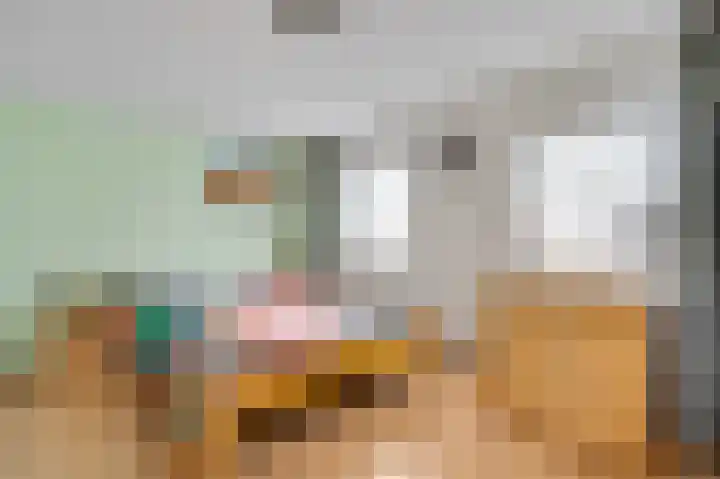 Hammermolen 20 Neer thumbnail 24