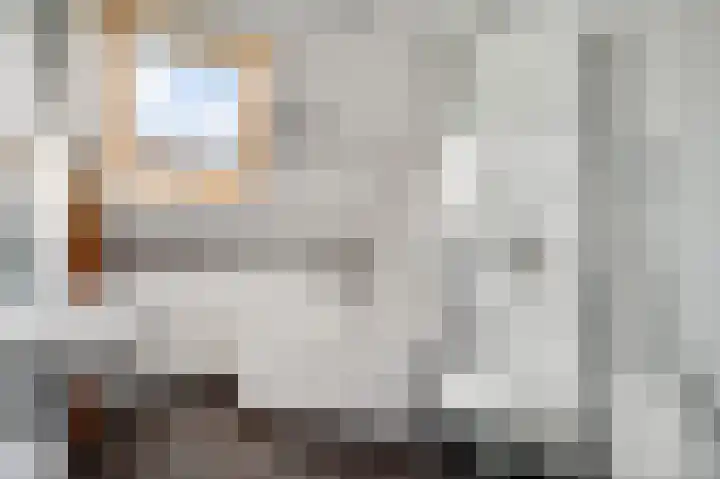 Hammermolen 20 Neer thumbnail 30