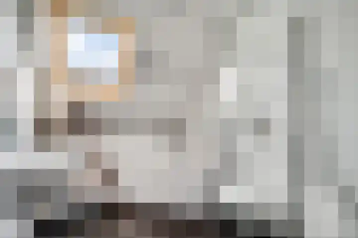 Hammermolen 20 Neer thumbnail 31