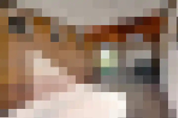 Hammermolen 20 Neer thumbnail 41