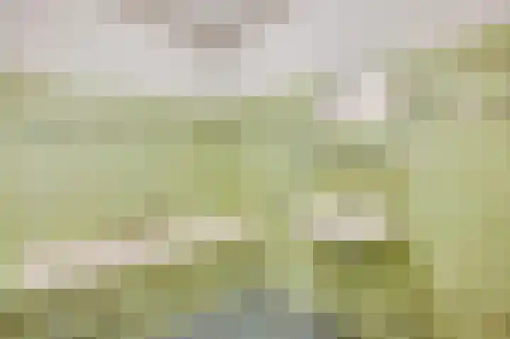 Hammermolen 23 Neer thumbnail 23