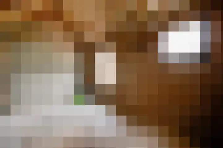 Hammermolen 23 Neer thumbnail 24