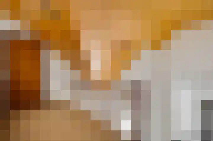 Hammermolen 23 Neer thumbnail 25
