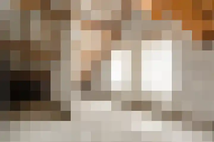 Hammermolen 23 Neer thumbnail 30