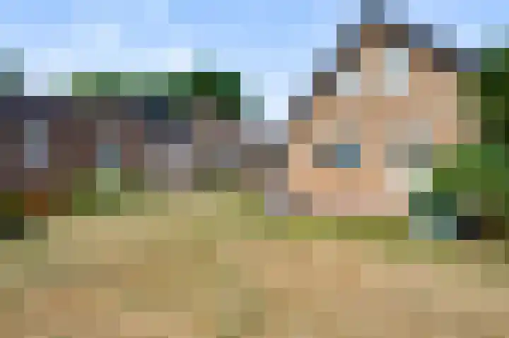Hammermolen 23 Neer thumbnail 34