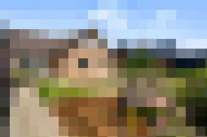 Hammermolen 23 Neer thumbnail 35