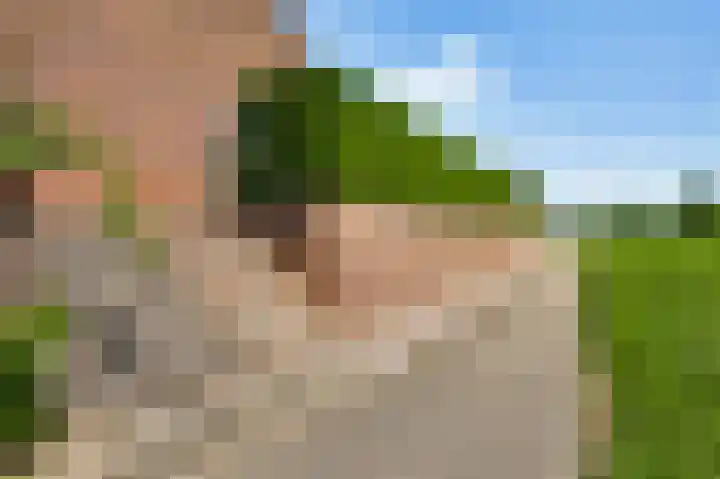 Hammermolen 23 Neer thumbnail 36