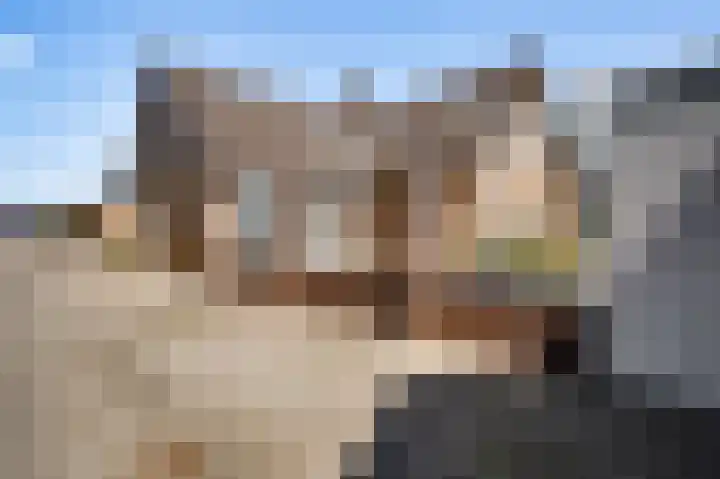 Hammermolen 23 Neer thumbnail 43