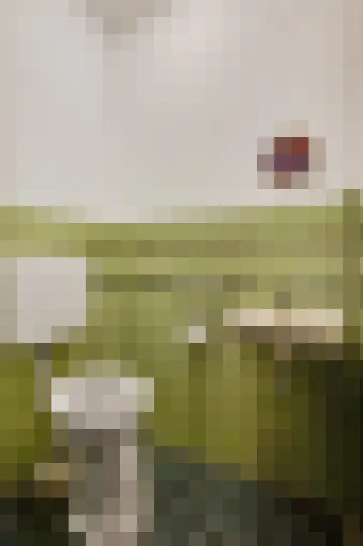 Hammermolen 23 Neer thumbnail 8