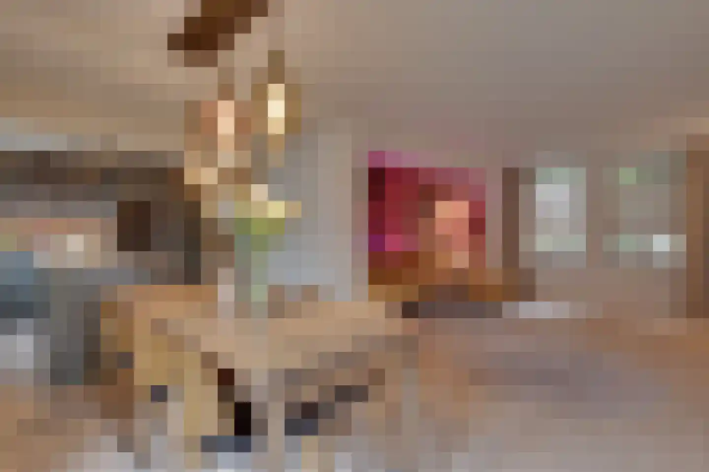 Hammermolen 29 Neer thumbnail 5