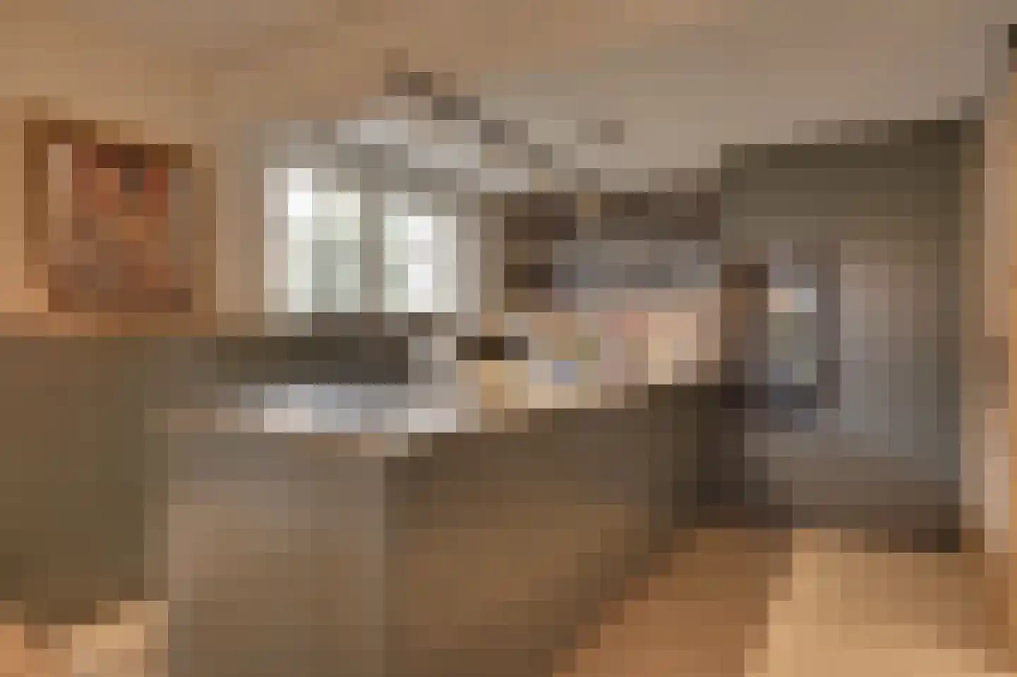 Hammermolen 29 Neer thumbnail 6