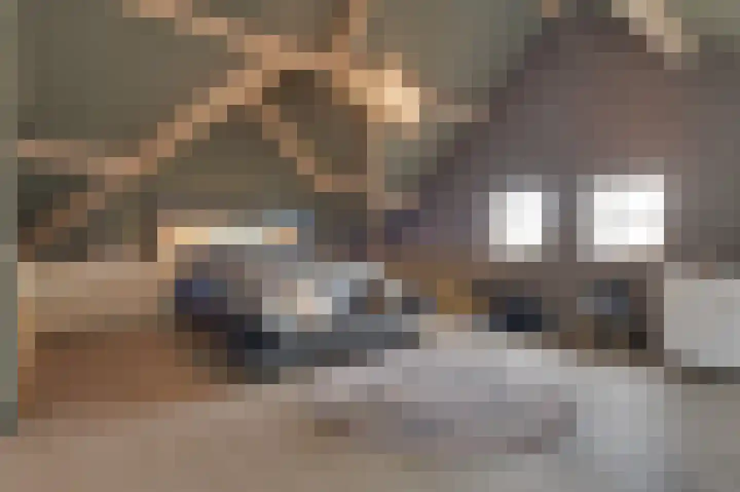 Hammermolen 29 Neer thumbnail 8