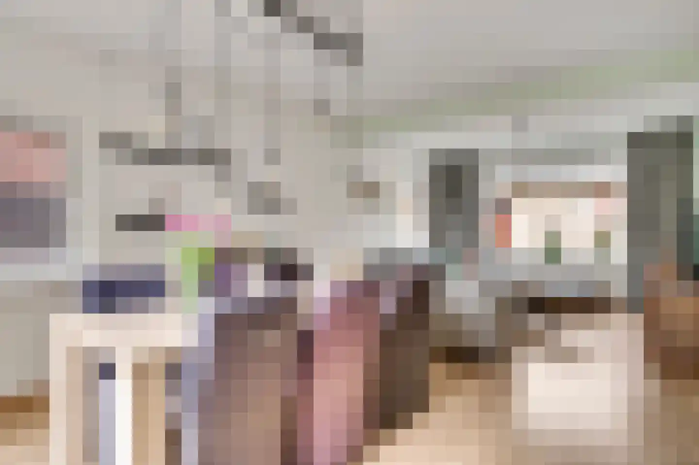 Hammerstraat 1 Herkenbosch thumbnail 11