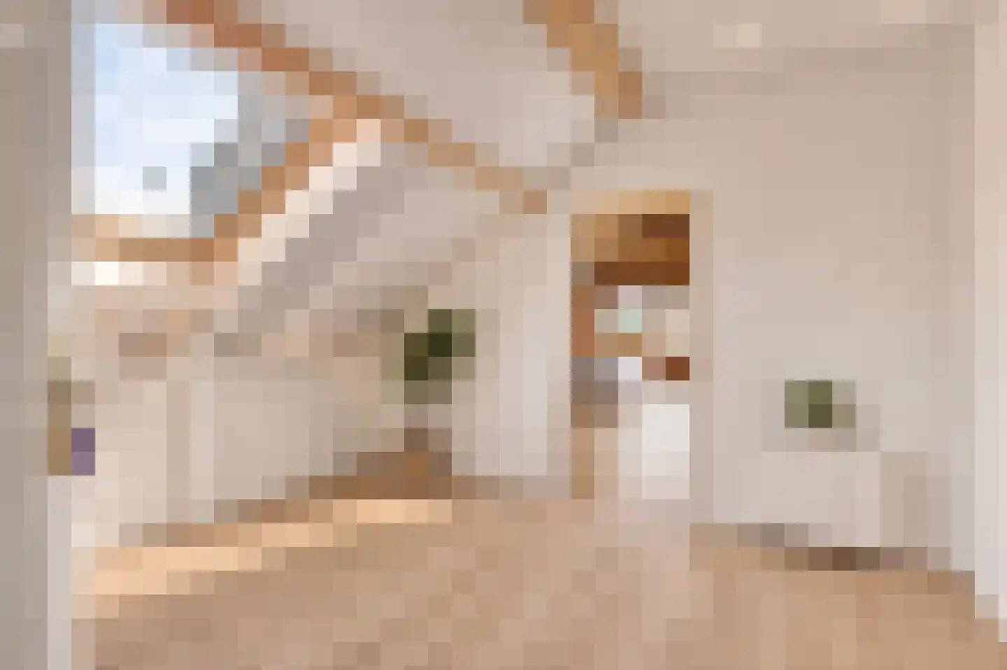 Hammerstraat 1 Herkenbosch thumbnail 31