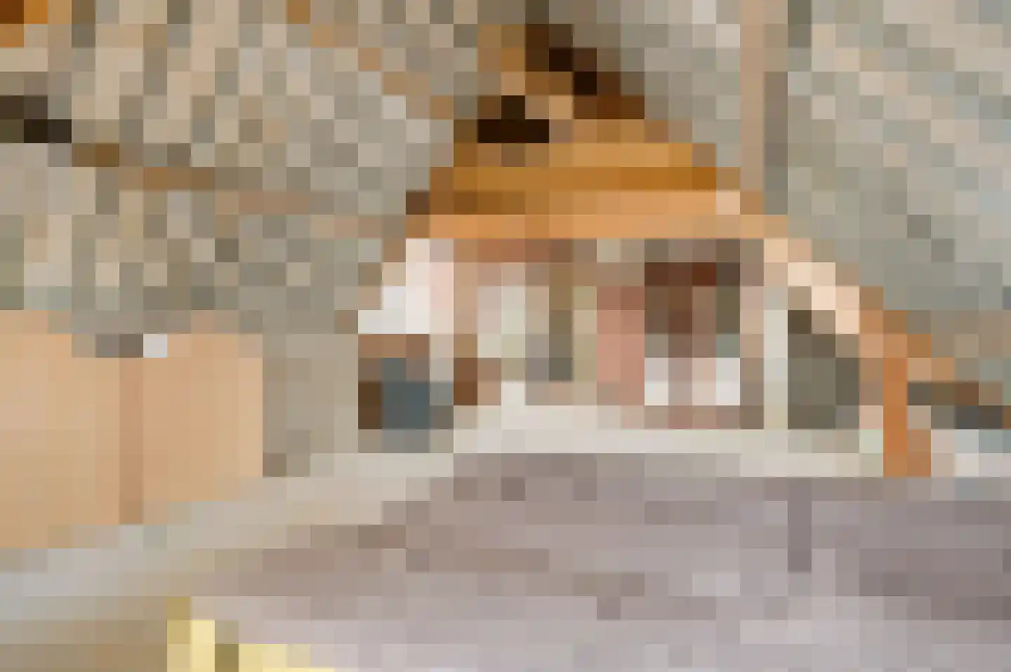 Hammerstraat 1 Herkenbosch thumbnail 32