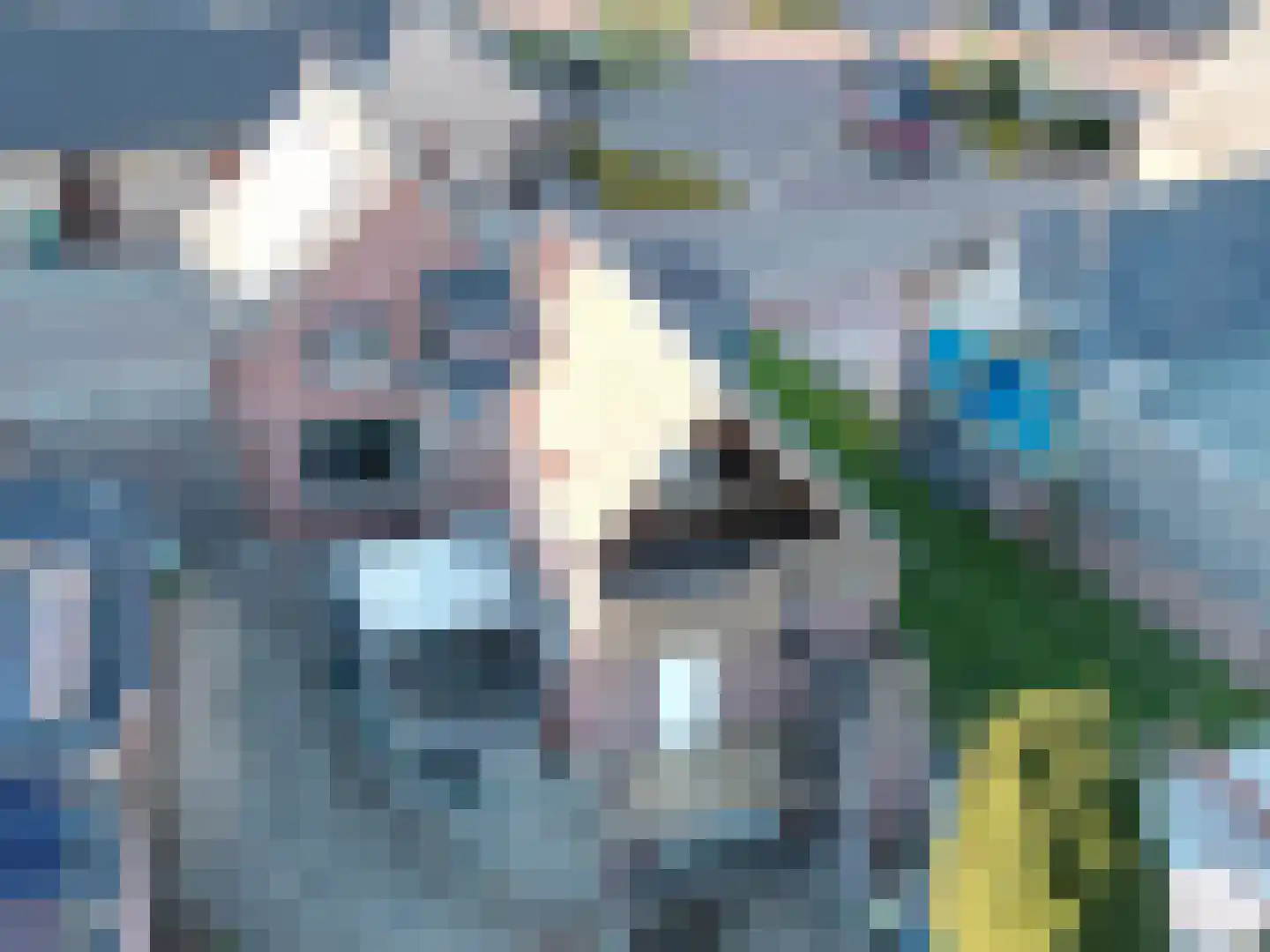 Hammerstraat 1 Herkenbosch thumbnail 40