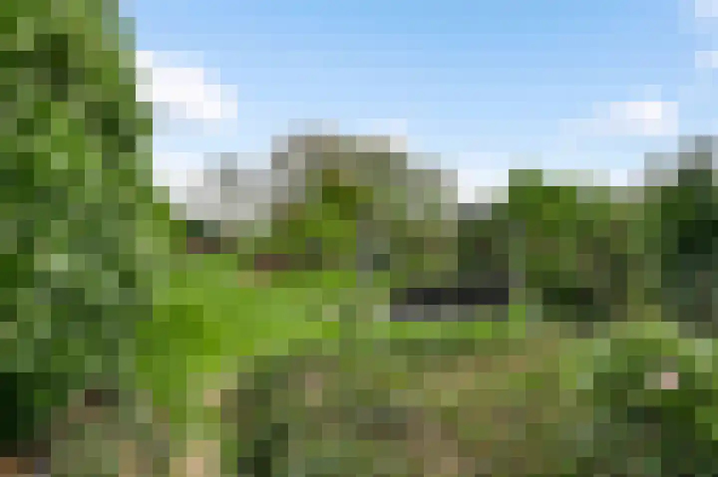 Hammerstraat 1 Herkenbosch thumbnail 48