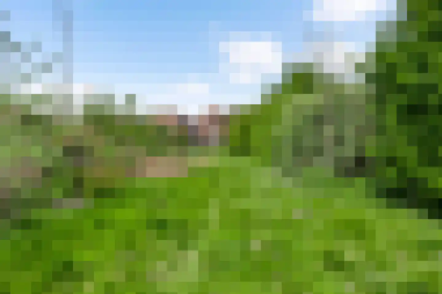 Hammerstraat 1 Herkenbosch thumbnail 49