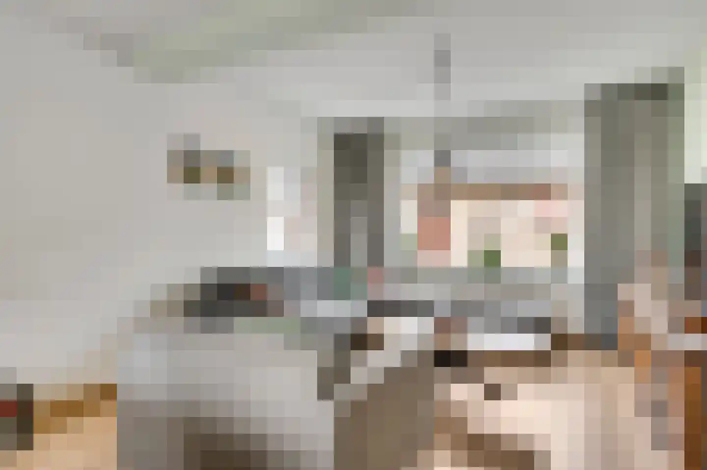 Hammerstraat 1 Herkenbosch thumbnail 8