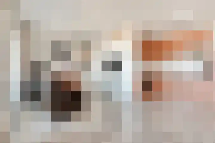 Hammerstraat 35 Vroomshoop thumbnail 17