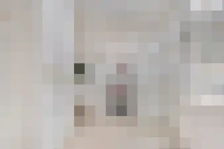 Hammerstraat 35 Vroomshoop thumbnail 25