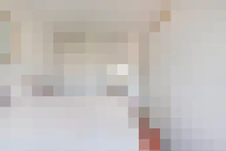 Hammerstraat 35 Vroomshoop thumbnail 31
