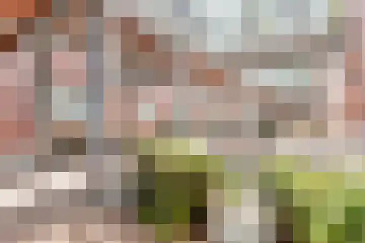 Hammerstraat 35 Vroomshoop thumbnail 38