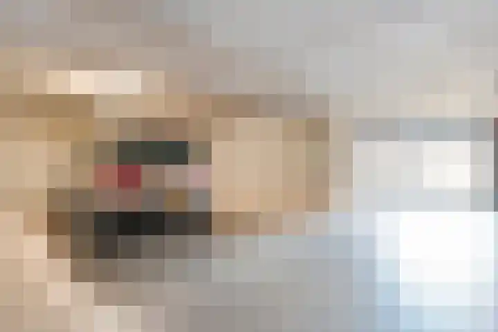 Hammerstraat 35 Vroomshoop thumbnail 43