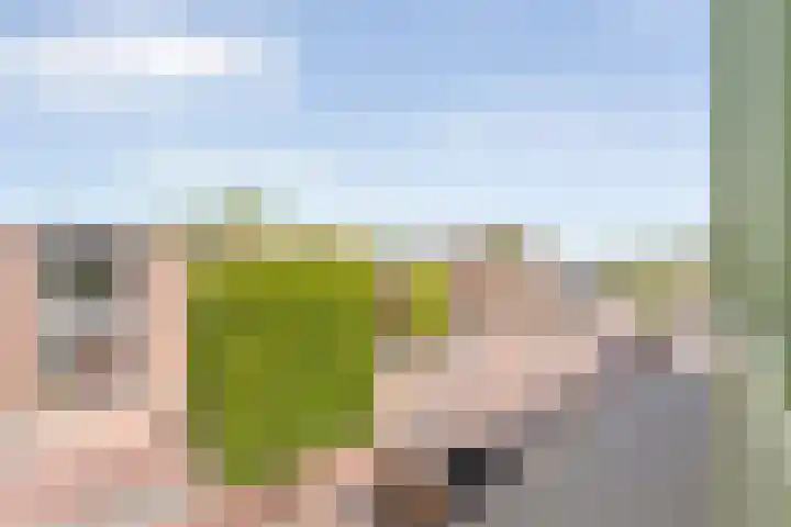 Hammerstraat 35 Vroomshoop thumbnail 46