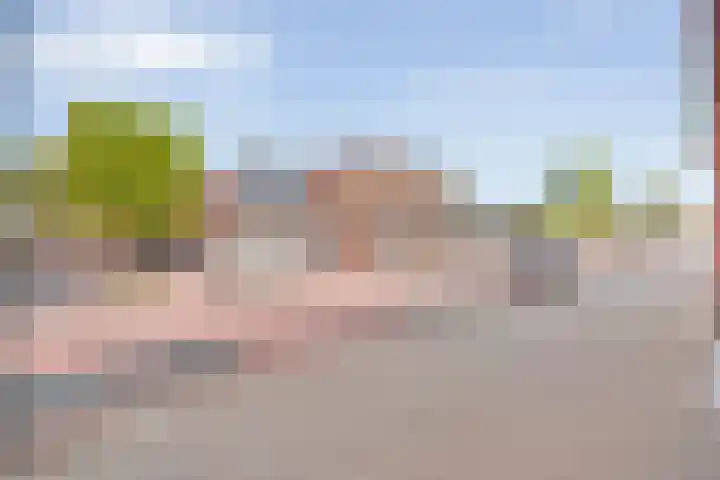 Hammerstraat 35 Vroomshoop thumbnail 47