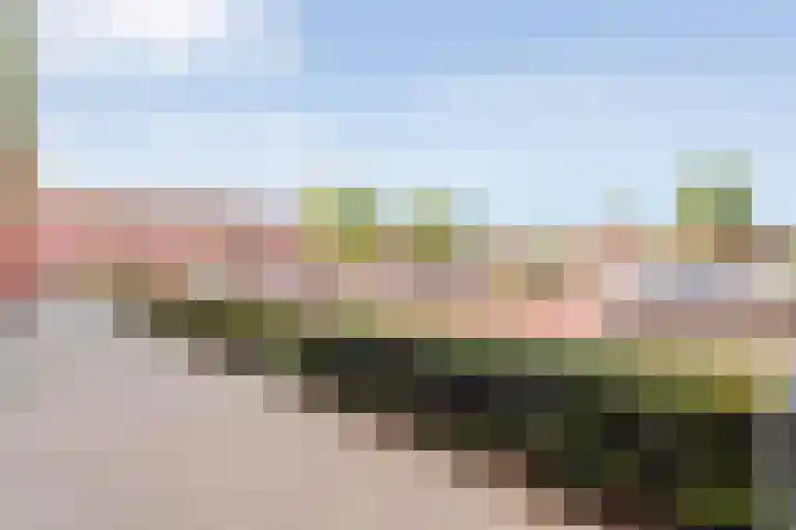 Hammerstraat 35 Vroomshoop thumbnail 48