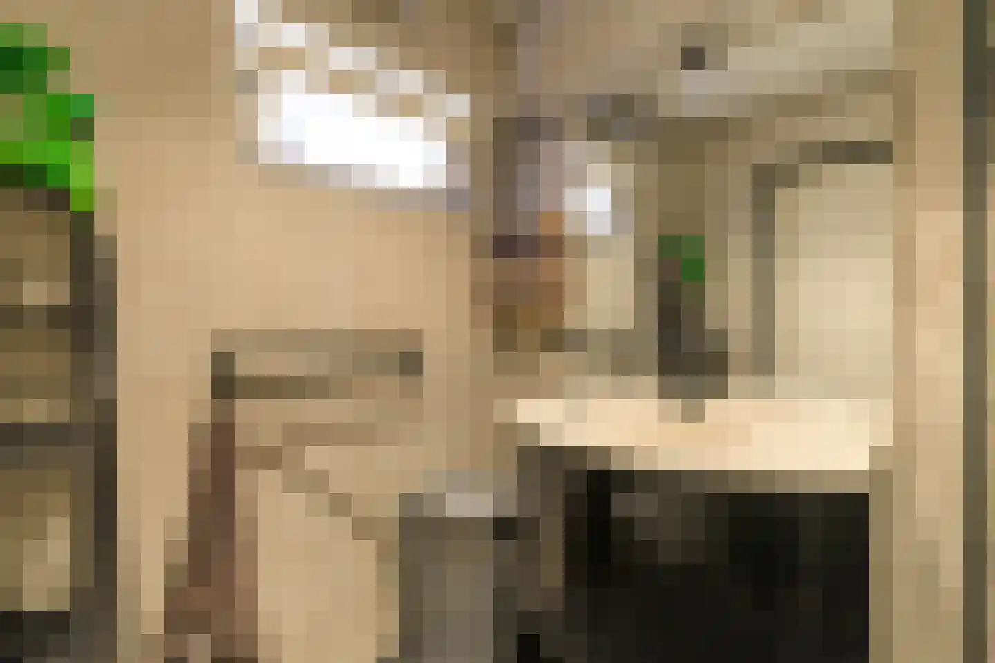 Hammerstraat 4 Vroomshoop thumbnail 12